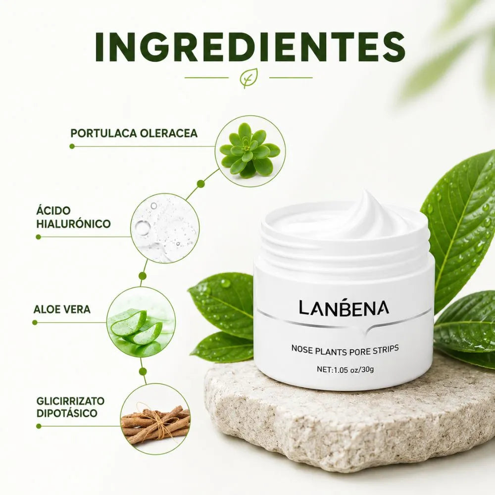 Lanbena® – Elimina los Puntos Negros con Limpieza Profunda desde la Primera Aplicación